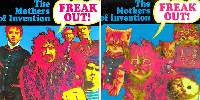 Funny-Kitten-Album-Covers
