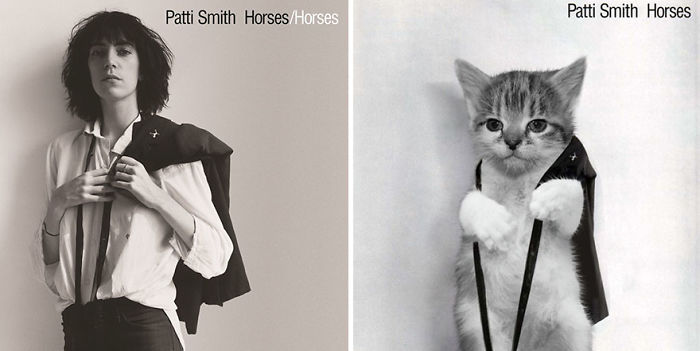 Funny-Kitten-Album-Covers