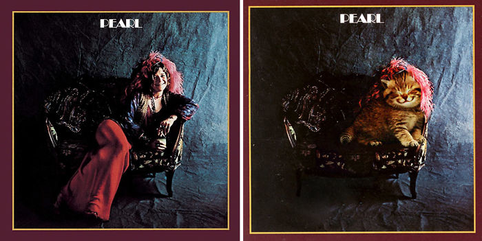 Funny-Kitten-Album-Covers