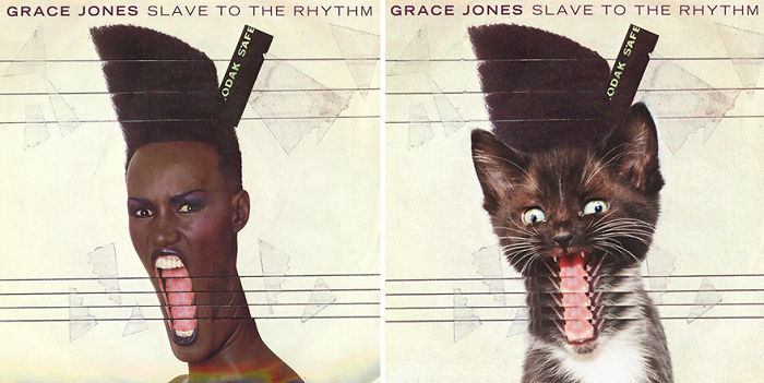 Funny-Kitten-Album-Covers