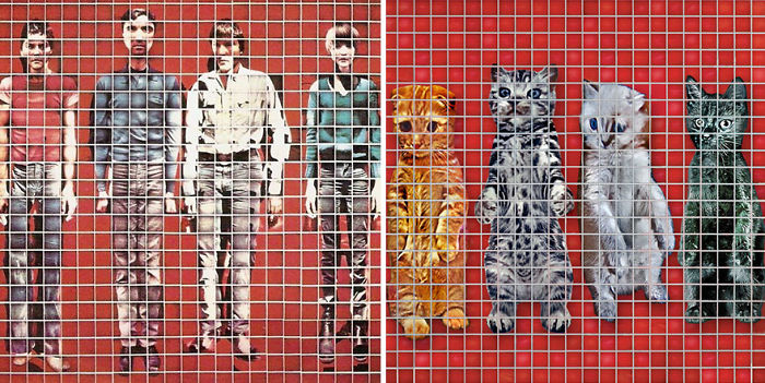 Funny-Kitten-Album-Covers
