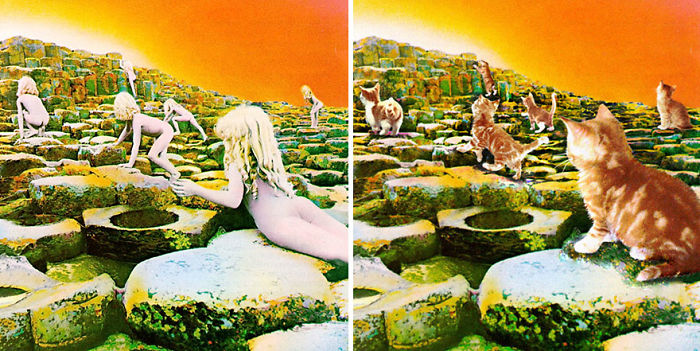 Funny-Kitten-Album-Covers