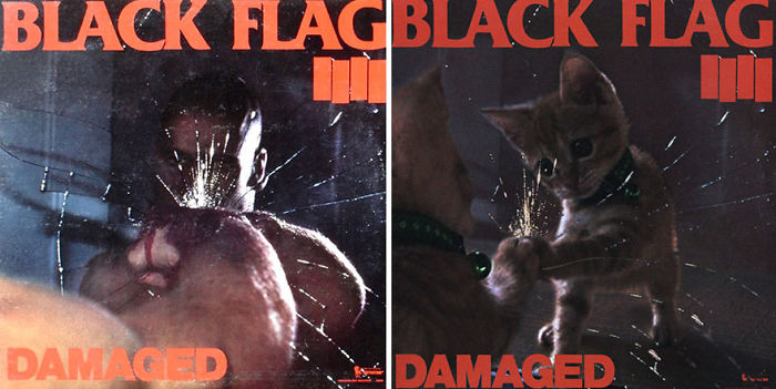 Funny-Kitten-Album-Covers
