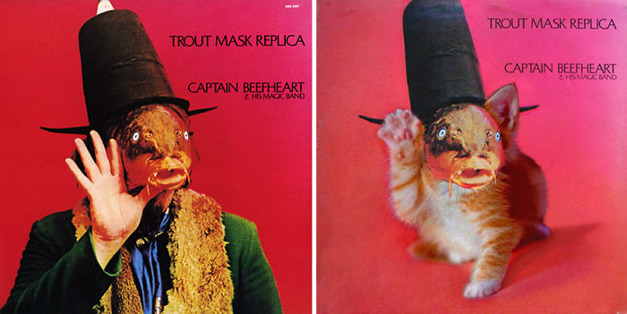 Funny-Kitten-Album-Covers