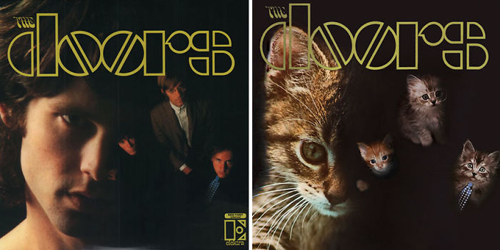 Funny-Kitten-Album-Covers