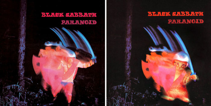 Funny-Kitten-Album-Covers