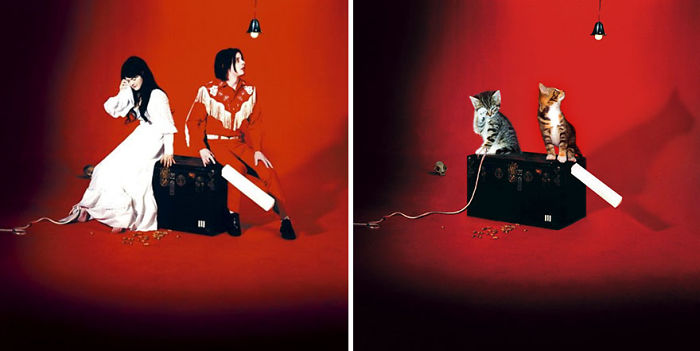 Funny-Kitten-Album-Covers