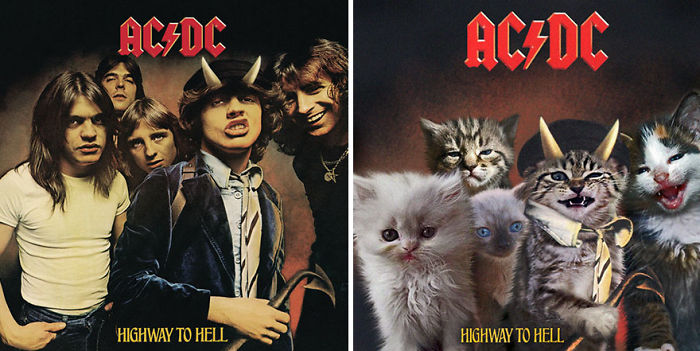 Funny-Kitten-Album-Covers