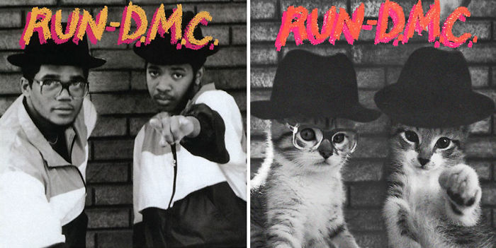 Funny-Kitten-Album-Covers