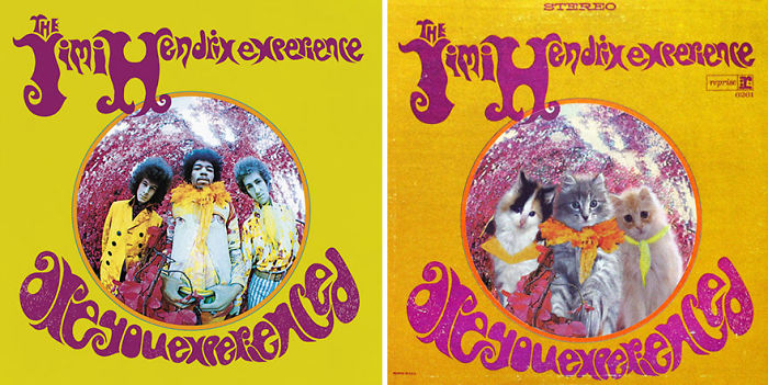 Funny-Kitten-Album-Covers