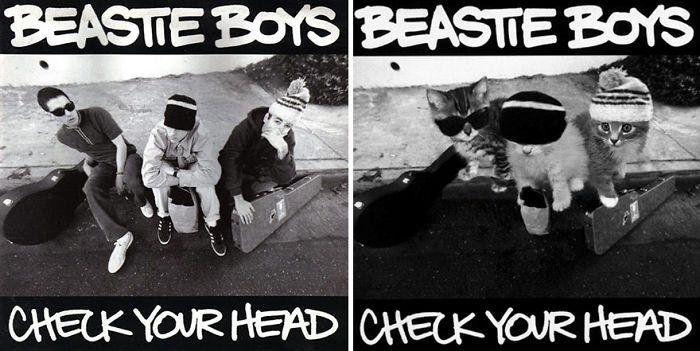 Funny-Kitten-Album-Covers