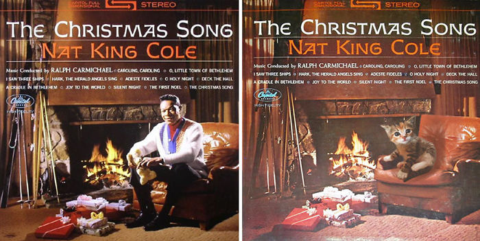 Funny-Kitten-Album-Covers