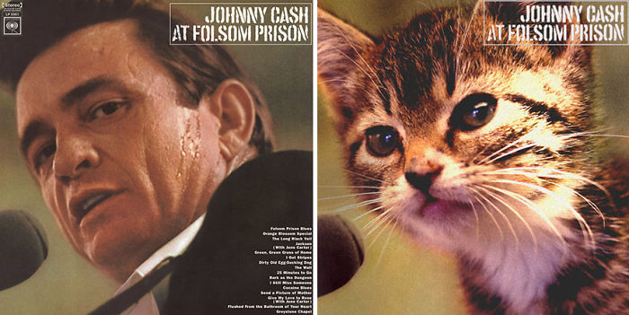 Funny-Kitten-Album-Covers