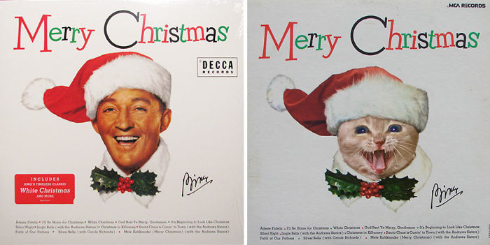 Funny-Kitten-Album-Covers