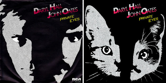 Funny-Kitten-Album-Covers