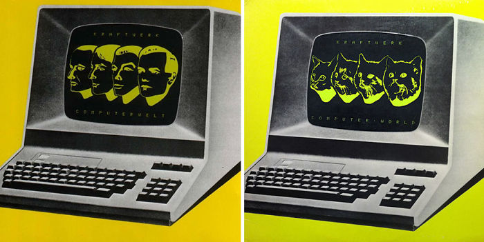 Funny-Kitten-Album-Covers