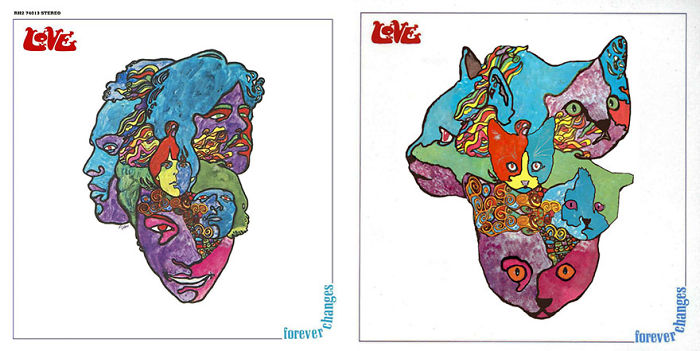 Funny-Kitten-Album-Covers