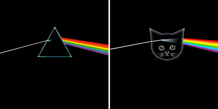 Funny-Kitten-Album-Covers