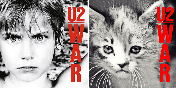 Funny-Kitten-Album-Covers