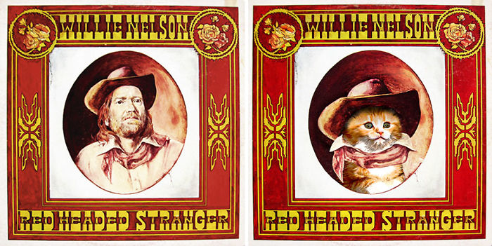 Funny-Kitten-Album-Covers