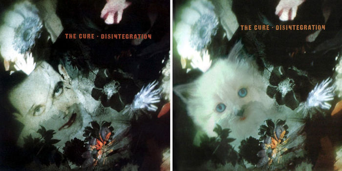 Funny-Kitten-Album-Covers