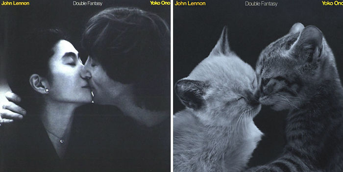 Funny-Kitten-Album-Covers