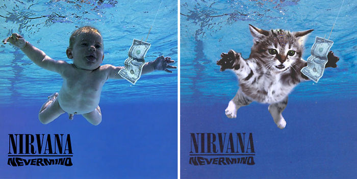 Funny-Kitten-Album-Covers