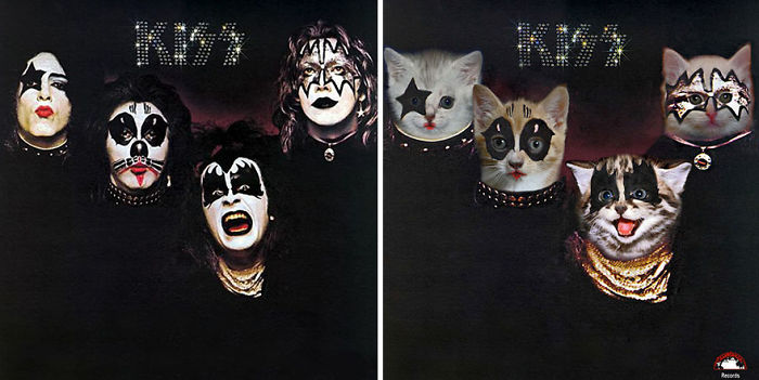 Funny-Kitten-Album-Covers
