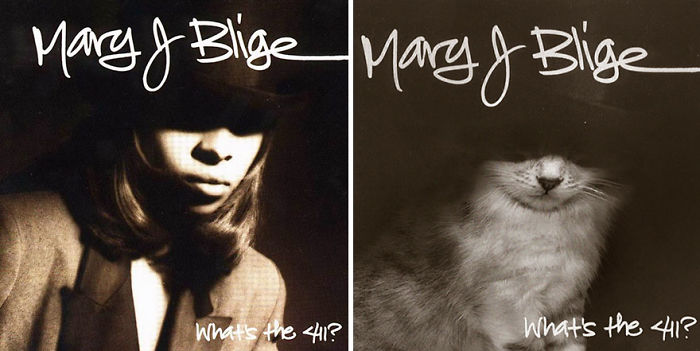 Funny-Kitten-Album-Covers