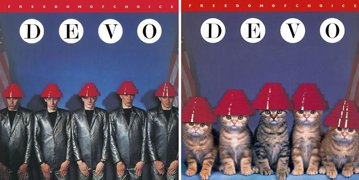 Funny-Kitten-Album-Covers