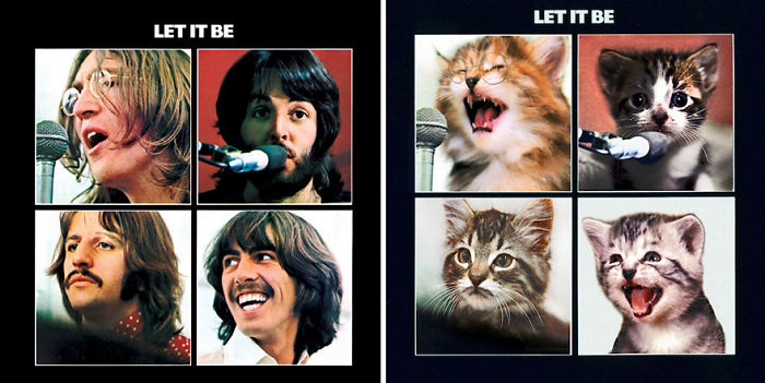 Funny-Kitten-Album-Covers