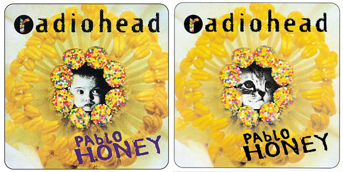 Funny-Kitten-Album-Covers