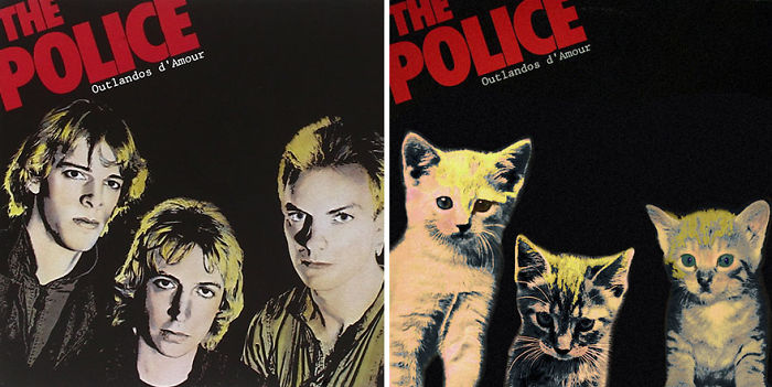 Funny-Kitten-Album-Covers