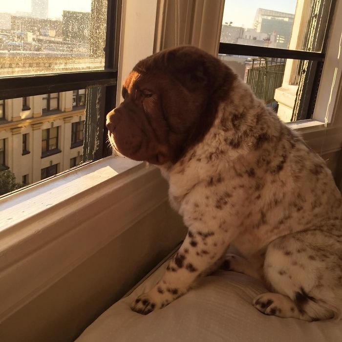 *Cue Emotional Sad Music With Hopeless Romantic Poem Recited In Background*