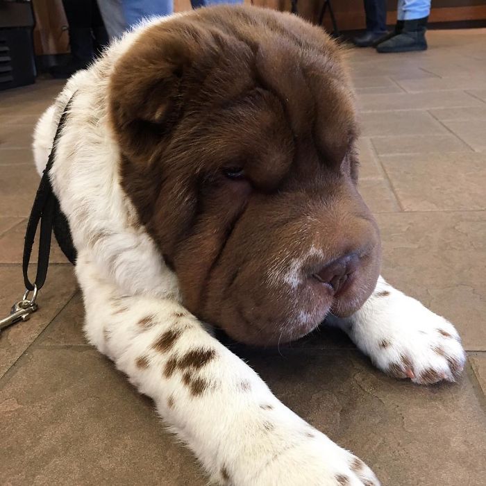 That Feeling You Get When Pumpkin Spice Latte Season Is Over