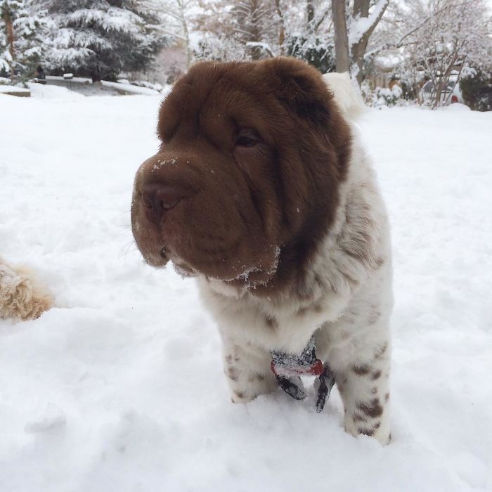 When Everyone Thinks You're Posing But It's Just A Restroom Break