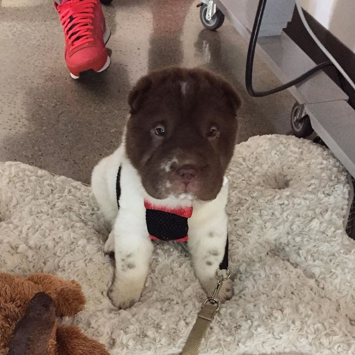 When I Didn't Understand Why People Just Stared At Box Screens And Not Pay Attention To Me?