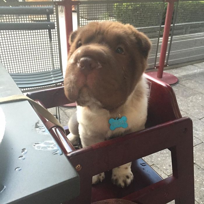 You Going To Eat That?