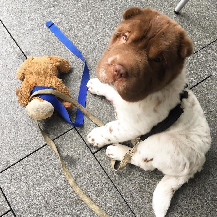 When You Got A Rude Awakening From An Amazing Nap By Your Friends Who Want To Go Out On A Friday Night