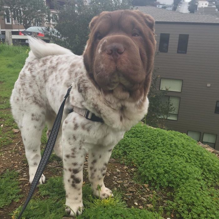 When You Get An Eye Twitch Right Before The Photo Is Taken...