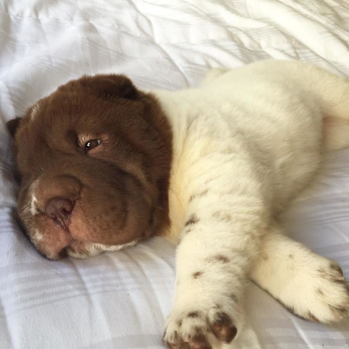 When You Just Want To Go To Bed After A Hard Long Week