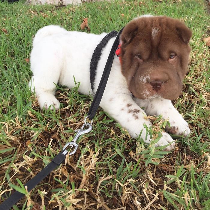 When You Realize You Have A Resting Bi*** Face...