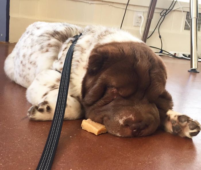 When You Fall Asleep While Eating...