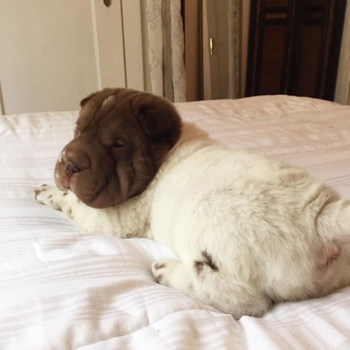 Starting The New Year Off Right... In Bed... Relaxing... Starting Resolutions Tomorrow. Who's With Me?