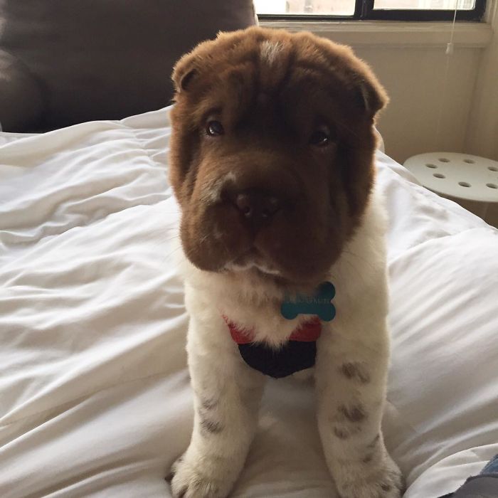 Throwback To When I Realized Queen Beds Would Be My New Bed