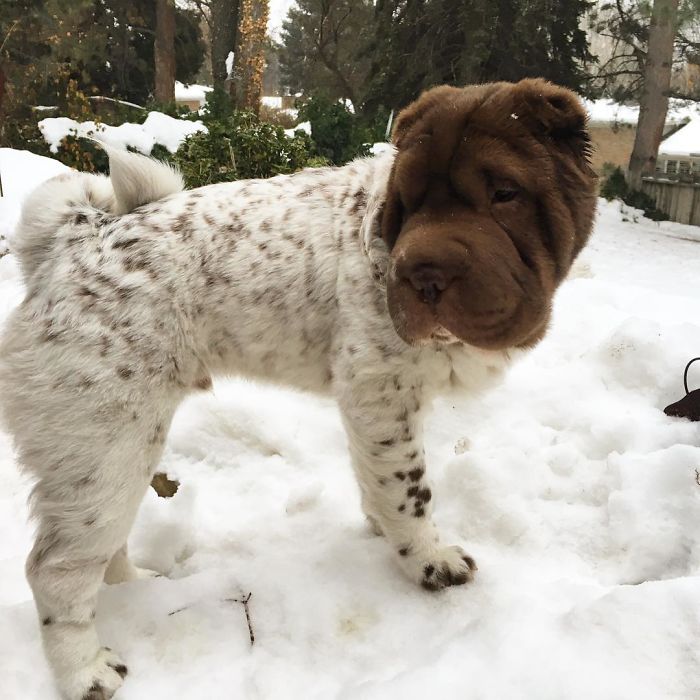 When You Think You See Something, But Really It's Just Your Imagination