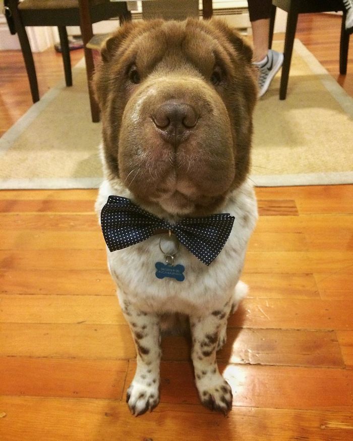 Keep Calm And Wear A Boetie