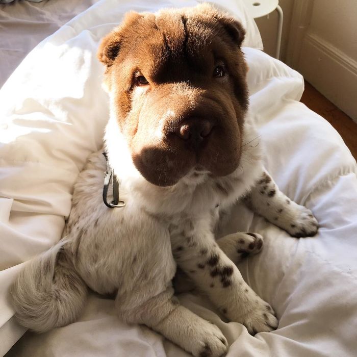 That Feeling When You Just Wake Up From An Awesome Nap