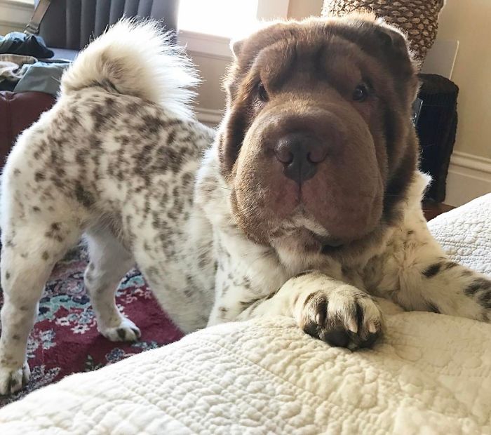 When You Try To Be Sexy When You Wake Bae Up In The Morning