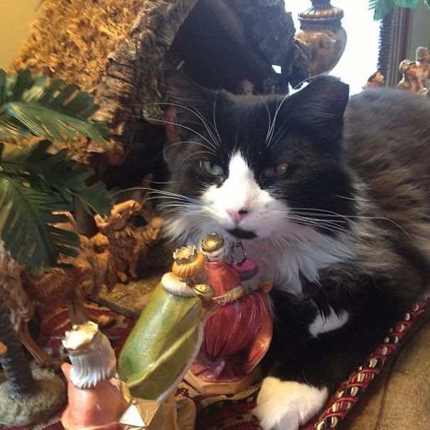 It Seems The Negotiations Have Reached An Impasse...